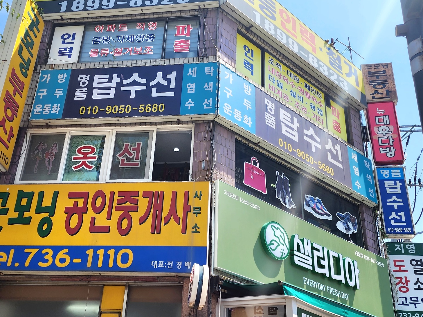 2000769928_bvLET6hJ_cfb19d47cc2de1f9eaa3cd4258ac799de8816ab0.jpg 이미지크게보기